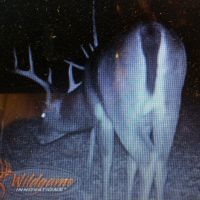 14-001-bearden-151 images 4