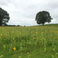 14-001-bearden-151 images 5
