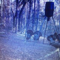 14-001-bearden-151 images 6