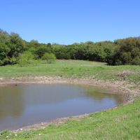 Hunting &nbsp; Recreational Ranch For Sale in Coryell County  TX images 3