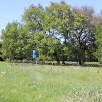Hunting &nbsp; Recreational Ranch For Sale in Coryell County  TX images 4