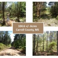 104.6 Acres in Carroll County in Carrollton  MS