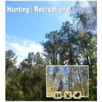 104.6 Acres in Carroll County in Carrollton  MS images 2