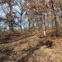 10  Acres m l Putnam Co.&nbsp; MO 63565 images 3