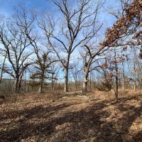 10  Acres m l Putnam Co.&nbsp; MO 63565 images 4