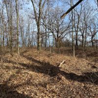 10  Acres m l Putnam Co.&nbsp; MO 63565 images 2