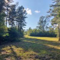 52 acres of hunting land with mature timber images 2