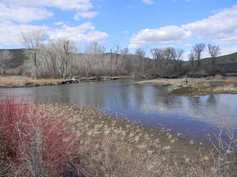 Weiser River Ranch featured image
