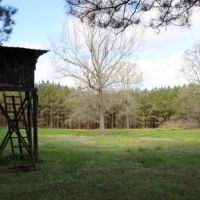 80 Acres in Leake County in Carthage  MS images 2