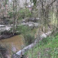 80 Acres in Leake County in Carthage  MS images 6