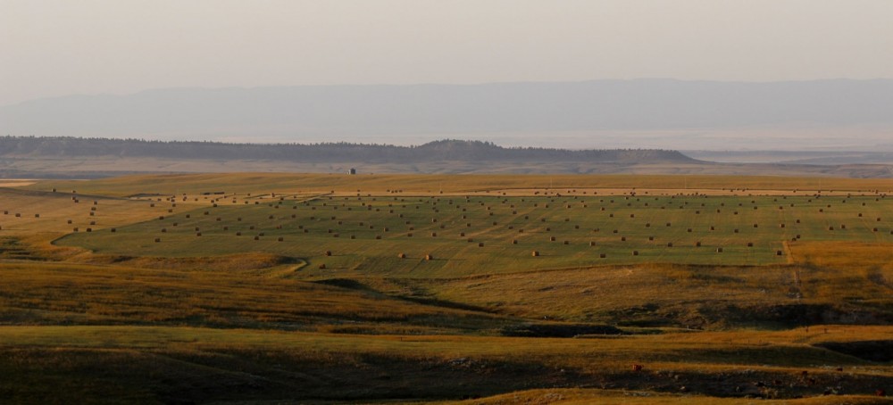 C N Ranch - EPlace Unit featured image