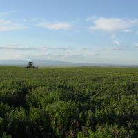 C N Ranch - EPlace Unit images 5