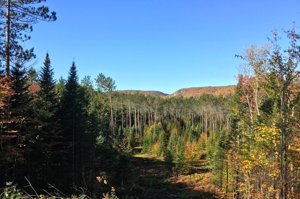 7 acre Cabin Site Adirondack Mountain Views featured image