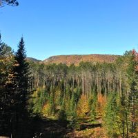 7 acre Cabin Site Adirondack Mountain Views images 6