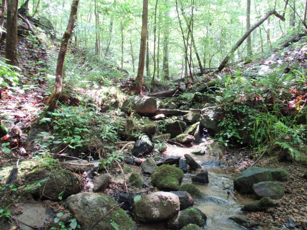 58-004-pea-ridge-60-hunting-and-timber featured image