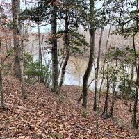Reduced Price  Timberland Investment images 4