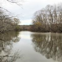 Reduced Price  Timberland Investment images 5