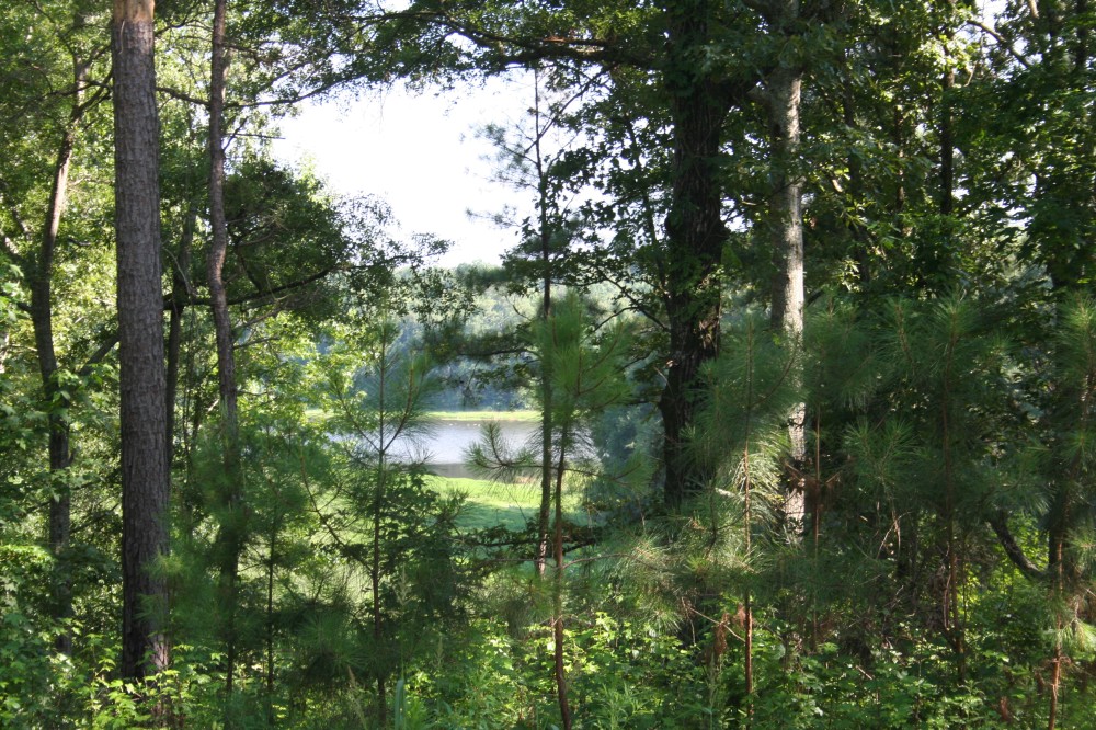 09-007-john-miller-high-fence-deer-farm featured image