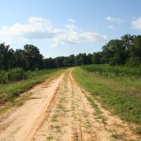 09-007-john-miller-high-fence-deer-farm images 3
