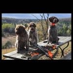 Exclusive Club with Limited Membership offering the Finest Hunting and Recreation Experiences