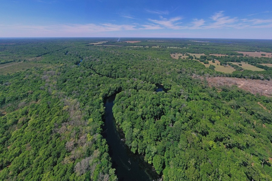 Santa Fe River Forest featured image