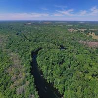 Santa Fe River Forest