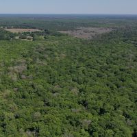 Santa Fe River Forest images 3