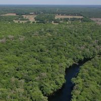 Santa Fe River Forest images 4