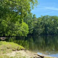 Santa Fe River Forest images 5