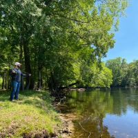 Santa Fe River Forest images 6