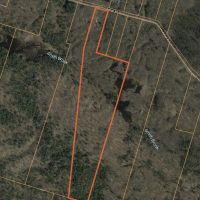50 acres Hunting Camp near Johnny Smith Pond images 4