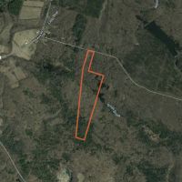 50 acres Hunting Camp near Johnny Smith Pond images 3