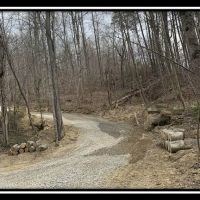 Sky View Cabin images 6
