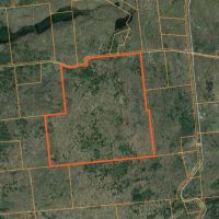 187 acre Hunting Cabin Pierrepont NY images 5