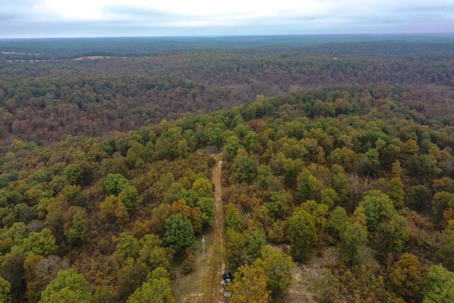 Missouri Ozarks Hunting &nbsp; Recreational Land For Sale in Central MO featured image