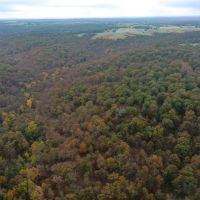 Missouri Ozarks Hunting &nbsp; Recreational Land For Sale in Central MO images 2
