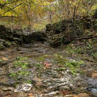 Missouri Ozarks Hunting &nbsp; Recreational Land For Sale in Central MO images 4