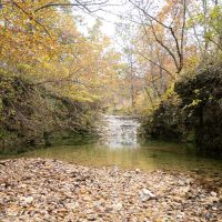Missouri Ozarks Hunting &nbsp; Recreational Land For Sale in Central MO images 5