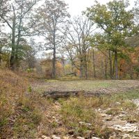 Missouri Ozarks Hunting &nbsp; Recreational Land For Sale in Central MO images 6