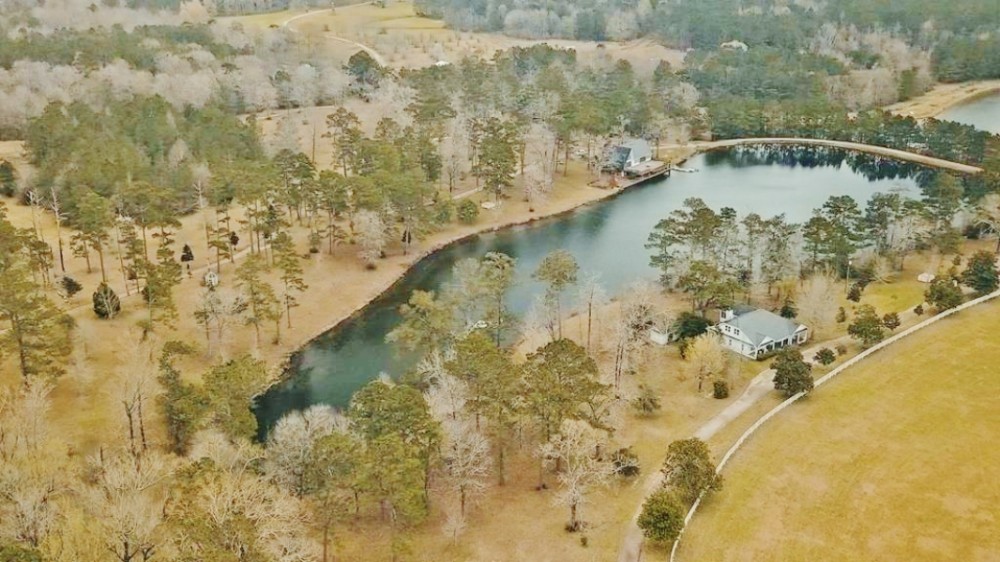 650 Acre High Fence Hunting Property Washinton Parish LA featured image