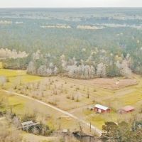 650 Acre High Fence Hunting Property Washinton Parish LA images 3
