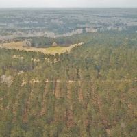 650 Acre High Fence Hunting Property Washinton Parish LA images 6