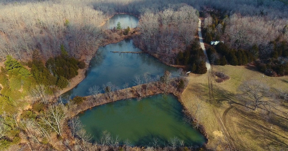Country Home and Land for Sale in Southern Missouri featured image