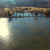 Country Home and Land for Sale in Southern Missouri images 3