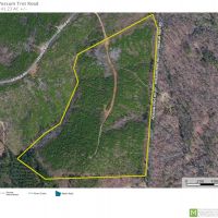 -41.23-Acres-Great hunting recreational property just off I-85