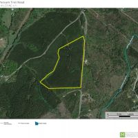 -41.23-Acres-Great hunting recreational property just off I-85 images 2