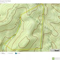 -41.23-Acres-Great hunting recreational property just off I-85 images 6