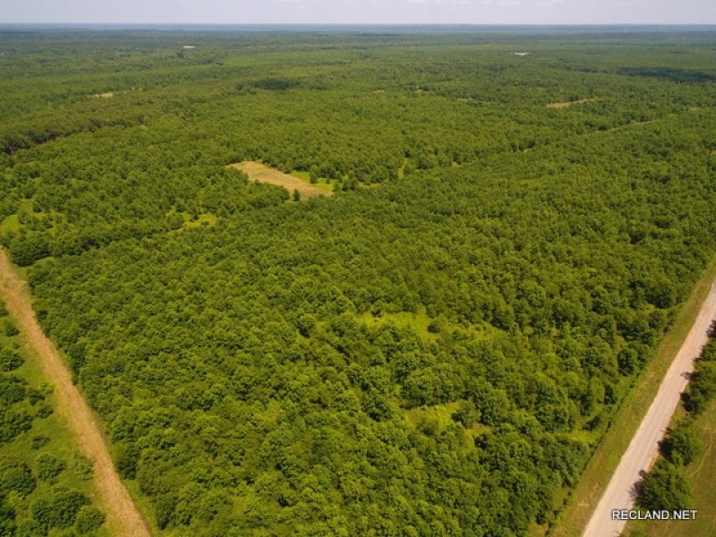 204 ac - WRP Deer &nbsp; Duck Hunting Tract - Price Reduced featured image