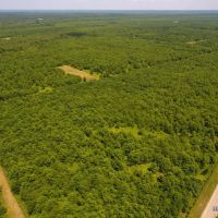 204 ac - WRP Deer &nbsp; Duck Hunting Tract - Price Reduced