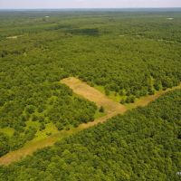 204 ac - WRP Deer &nbsp; Duck Hunting Tract - Price Reduced images 2